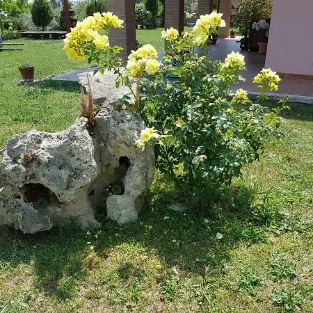Le Casette Amelia